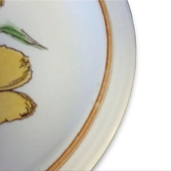 Homer Laughlin Vintage 1979 Yellow Flowers Set of 2 Dinner Plates - Picture 9 of 12